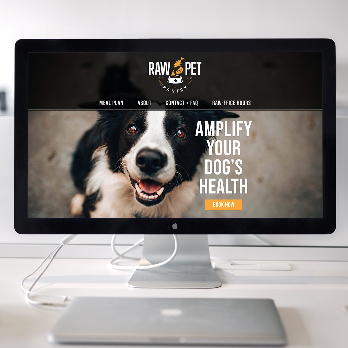 Raw Pet Pantry Website